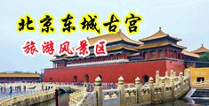 鸡巴肏屄网站中国北京-东城古宫旅游风景区